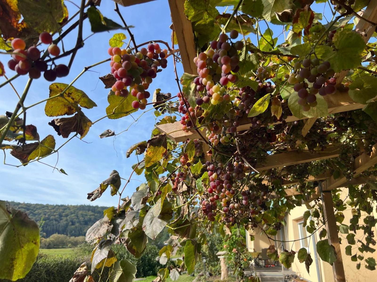 Appartamento Flussnest Fulda Esterno foto